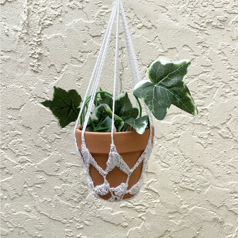 Plant Hanger Mini Hand Crafted White Terrarium Necessity Boho Dorm Botanical